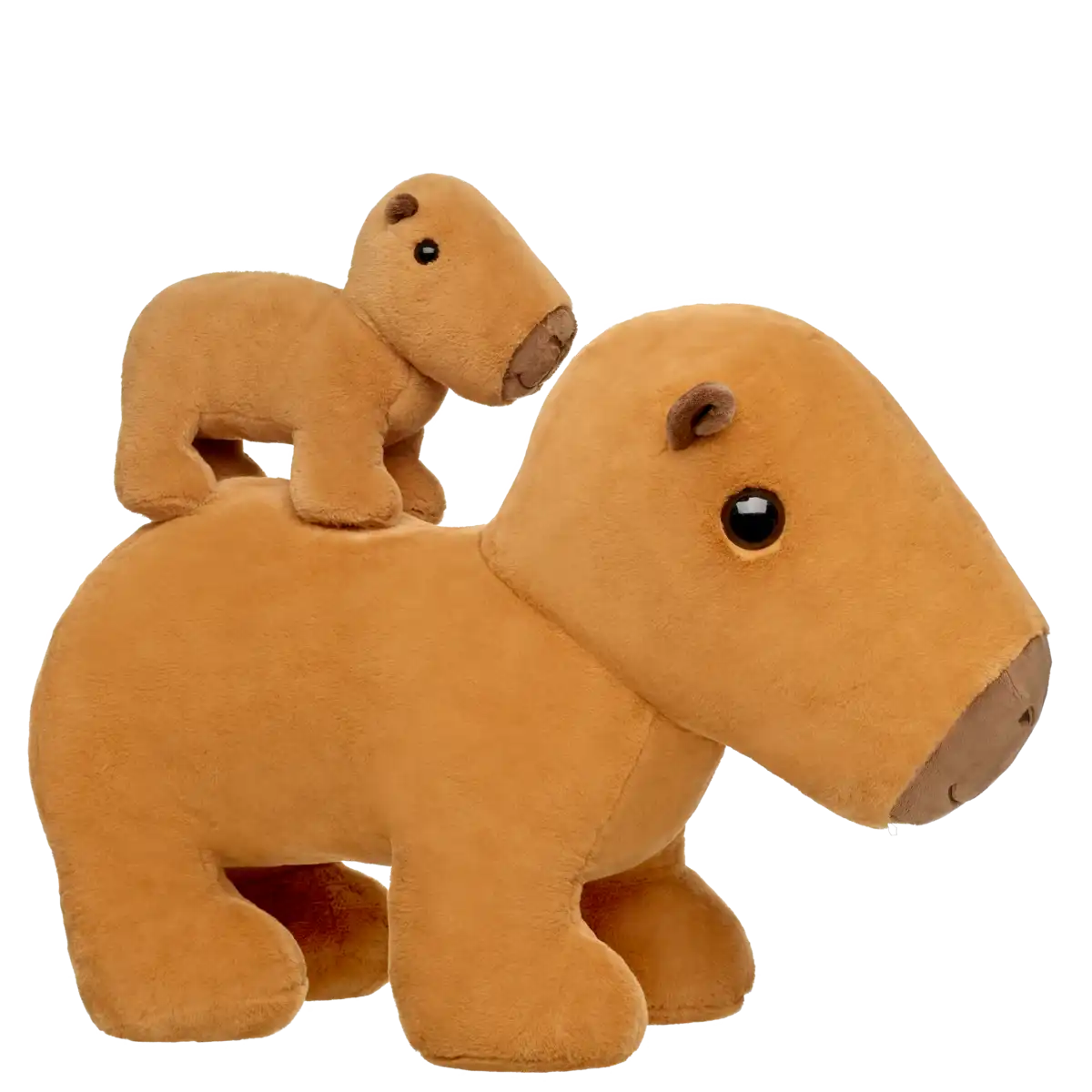 Vorschaubild 2
